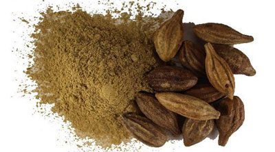 خاصیت درمانی هلیله سیاه